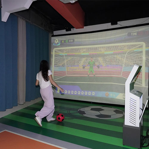 Soccer Simulator For Home Main Image1