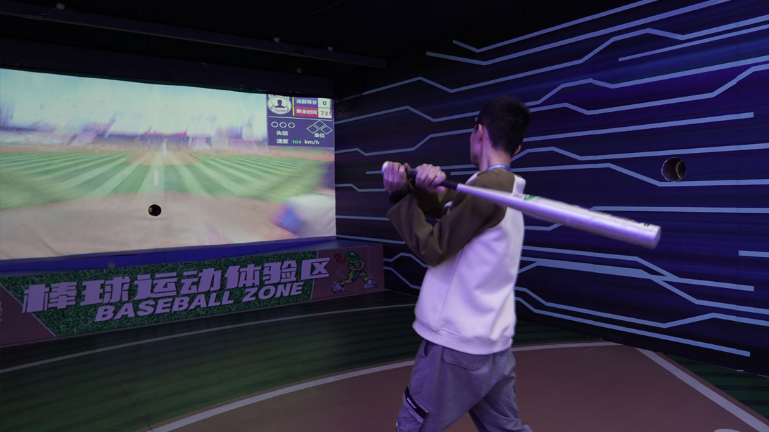 Baseball simulator